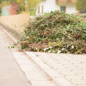 Temecula Brush Removal